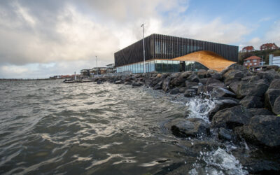 Foreningen Klimatorium afholder ordinær Generalforsamling d. 25. maj – se med via live-streaming!