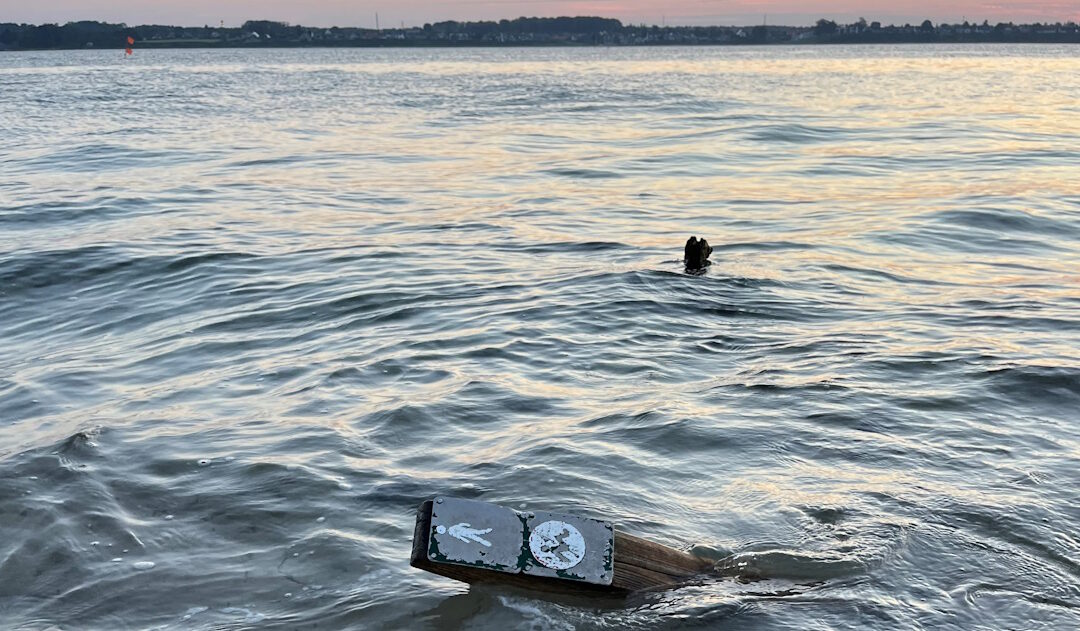 ClimateBlue – Skal vi åbne dørene for naturen?